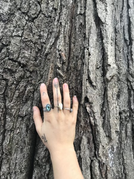tattooed hand touching the bark of an ancient tree kin